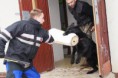 /album/v-kk-prasice-17-2-2013/a10907-301605789965190-522057529-n-jpg/