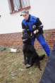 /album/v-kk-prasice-17-2-2013/a18244-301608499964919-491996692-n-jpg/