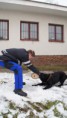/album/v-kk-prasice-17-2-2013/a35463-301605843298518-1046399653-n-jpg/