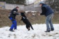 /album/v-kk-prasice-17-2-2013/a524868-301608293298273-1112897416-n-jpg/