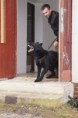 /album/v-kk-prasice-17-2-2013/a524991-301607213298381-77690158-n-jpg/