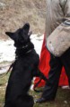 /album/v-kk-prasice-17-2-2013/a539729-301608526631583-1715284565-n-jpg/