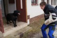 /album/v-kk-prasice-17-2-2013/a554262-301607296631706-486742281-n-jpg/