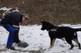 /album/v-kk-prasice-17-2-2013/a581150-301606706631765-195643205-n-jpg/