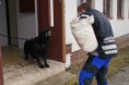 /album/v-kk-prasice-17-2-2013/a581188-301607346631701-1899741377-n-jpg/