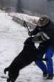 /album/v-kk-prasice-17-2-2013/a644440-301605579965211-1545363225-n-jpg/