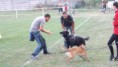 /album/fut-ihrisko-krnca-12-8-2013/dscf1047-jpg/