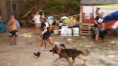 /album/ocelovy-branny-pretek-kynologov/a11811381-10204632647631890-1560241380218203897-n-jpg/